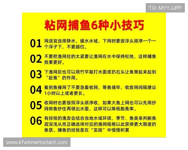 提升捕鱼技巧的实用指南:在K8捕鱼网投中轻松获胜的方法 提升捕鱼技巧的实用指南:在K8捕鱼网投中轻松获胜的方法